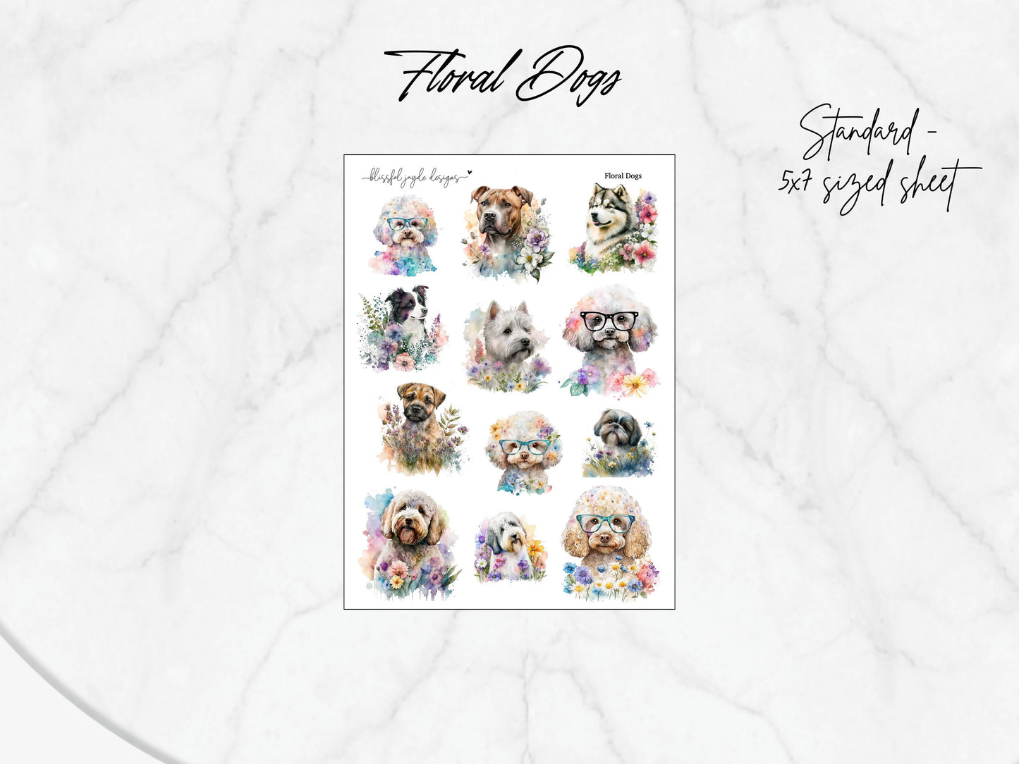 Floral Cats and Dogs