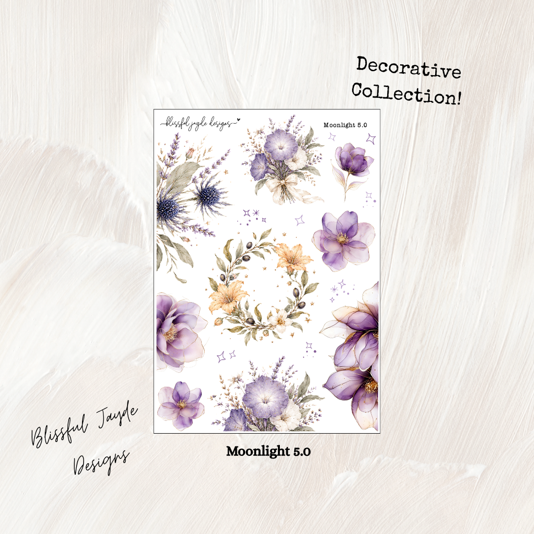Moonlight Decorative Collection